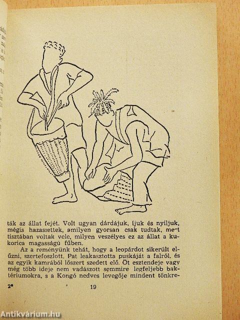 Nyolc év Kongó törpéi között