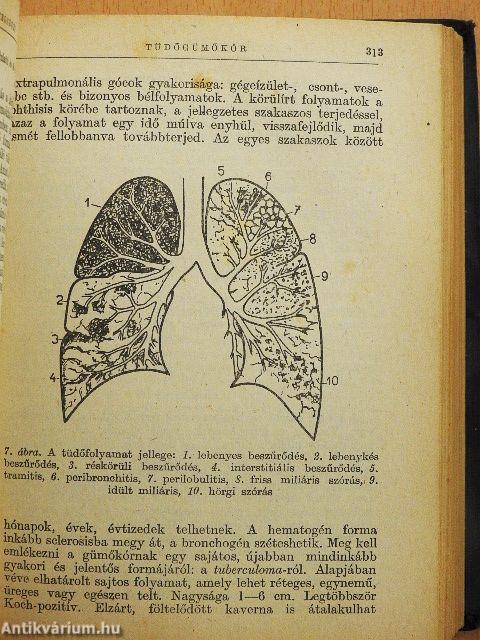 Gyógyszertan és gyógyítás II.
