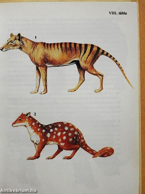 Egyszervolt állatok