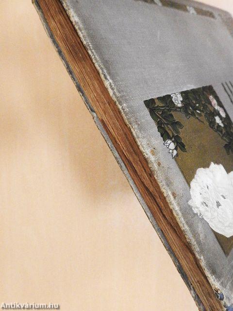 Erzsébet királyasszony emlékének