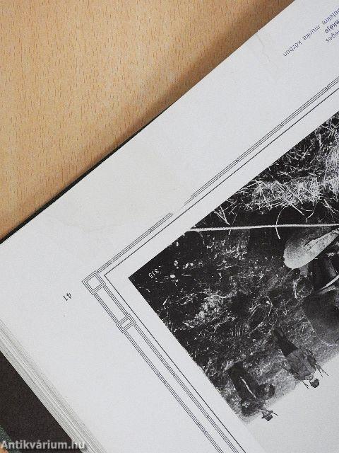 Gőzekék különlegességi gyára