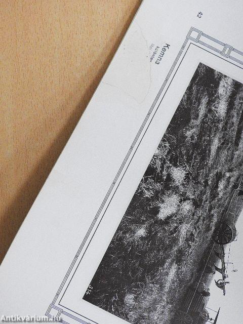 Gőzekék különlegességi gyára