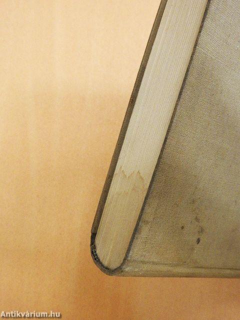 Egy magyar művész élete I. (töredék)