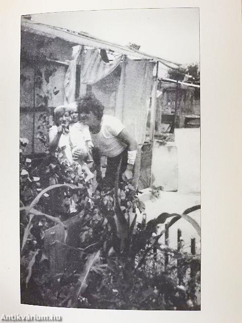 Vallomás édesapámról