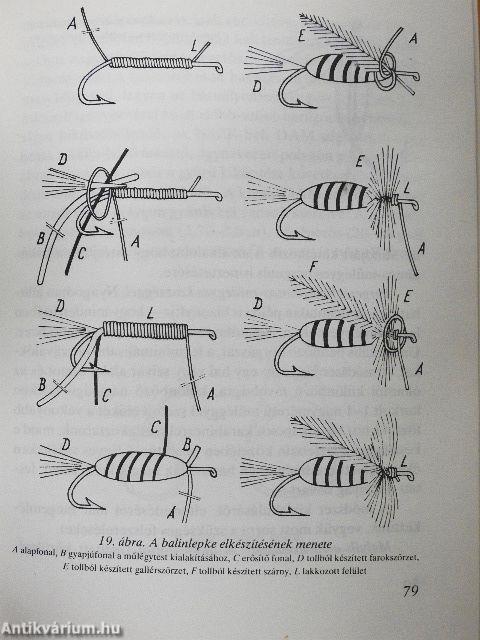 Különféle halaink és horgászatuk