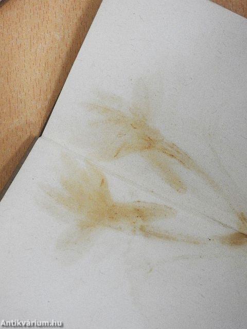 A modern német líra kincsesháza I-VIII.