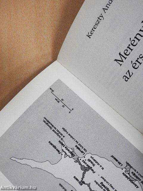 Merénylet az érsek ellen