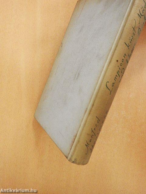 Lampioon küsst Mädchen und kleine Birken