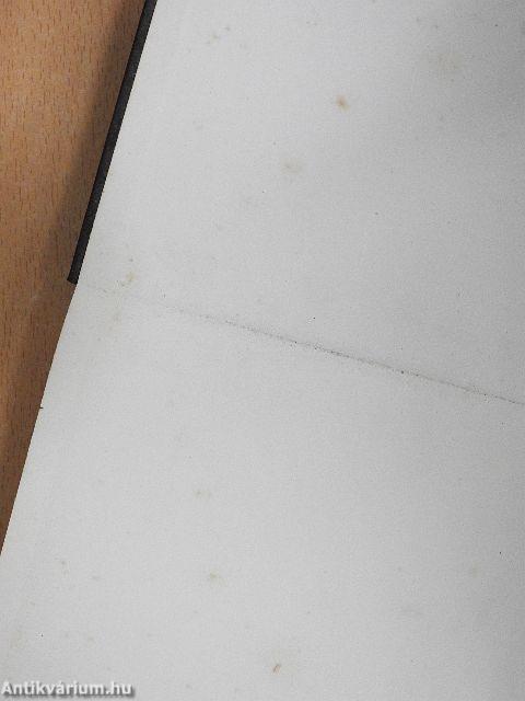 Beszélgetés a Mesterrel