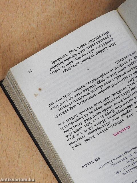 Beszélgetés a Mesterrel