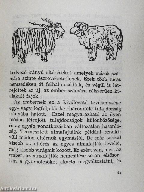 "Csodálatos" élővilág?