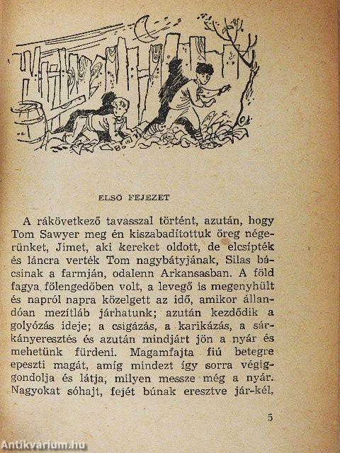 Tom Sawyer mint detektív/Tom Sawyer léghajón