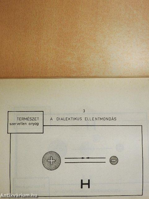 VEAB értesítő 1978. II.