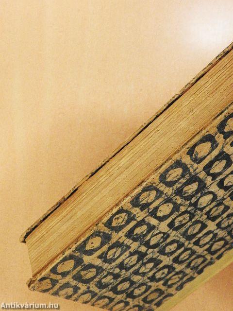 A Mirror for Witches