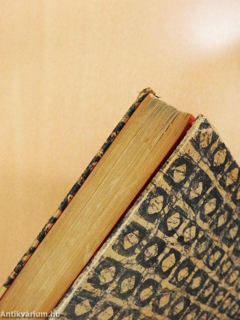 A Mirror for Witches