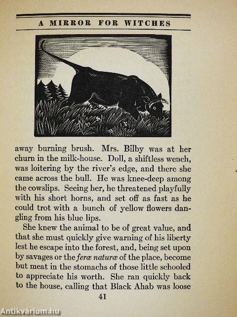 A Mirror for Witches