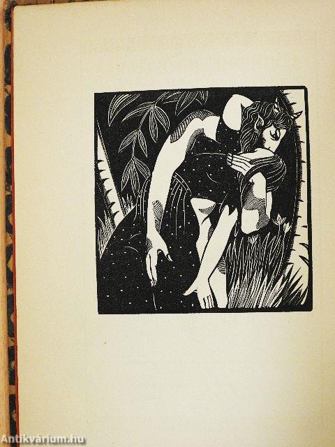 A Mirror for Witches