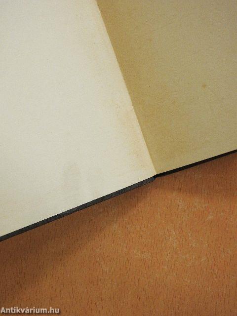 Die Kunst der Letter (gótbetűs)