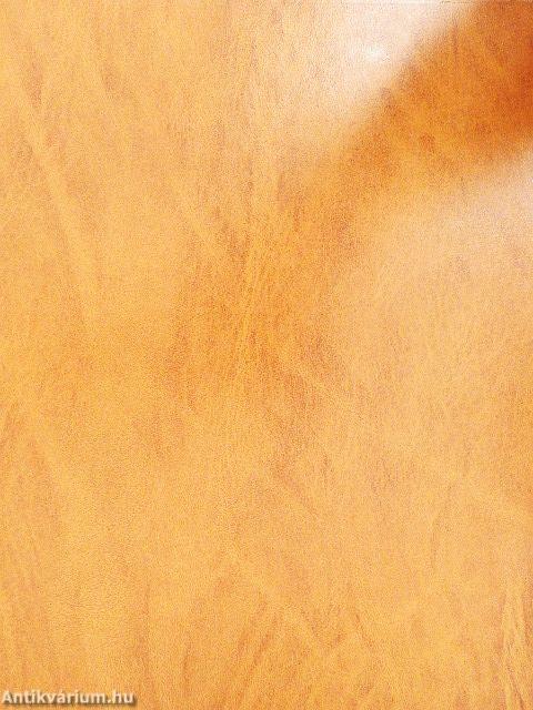 Rakéta Regényújság 1977. (nem teljes évfolyam)