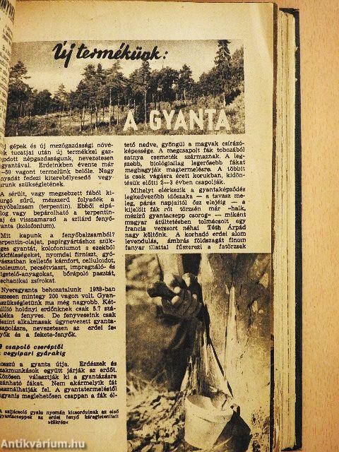 Élet és Tudomány 1953. január-december I-II.