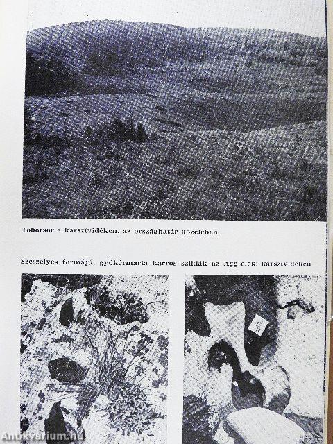 Aggteleki-karsztvidék
