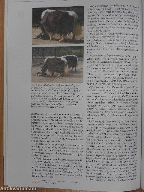 Lege Artis Medicinae 2013. szeptember