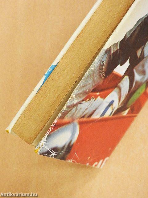 A gépkocsi regénye