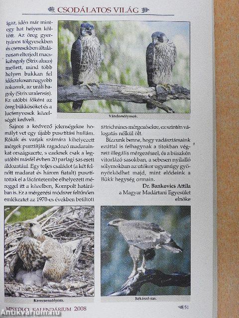 Miskolci kalendárium 2008