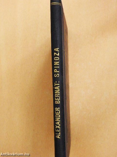 Spinoza