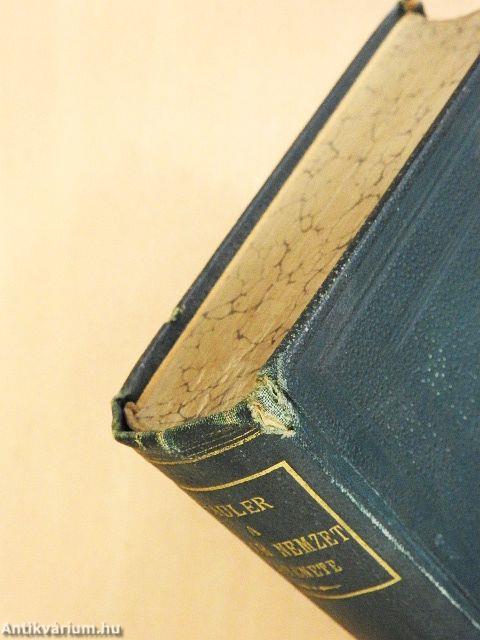 A magyar nemzet története az Árpádházi királyok alatt I-II.