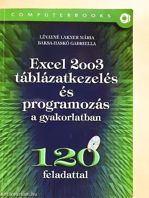Excel 2003 táblázatkezelés és programozás a gyakorlatban