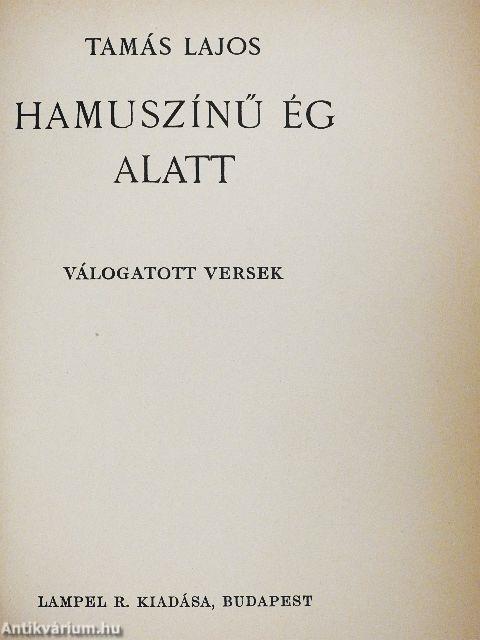 Hamuszínű ég alatt