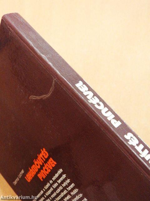 Lakásbővítés pincével