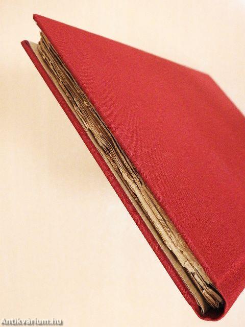 Egy naplopó tünődései