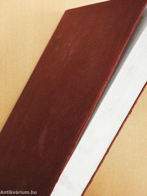 Parlamenti ösztöndíjasok 2008/2009