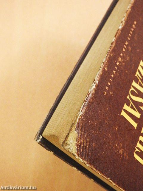 Przsevalszkij utazásai