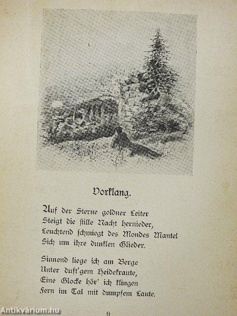 Gedichte (gótbetűs)