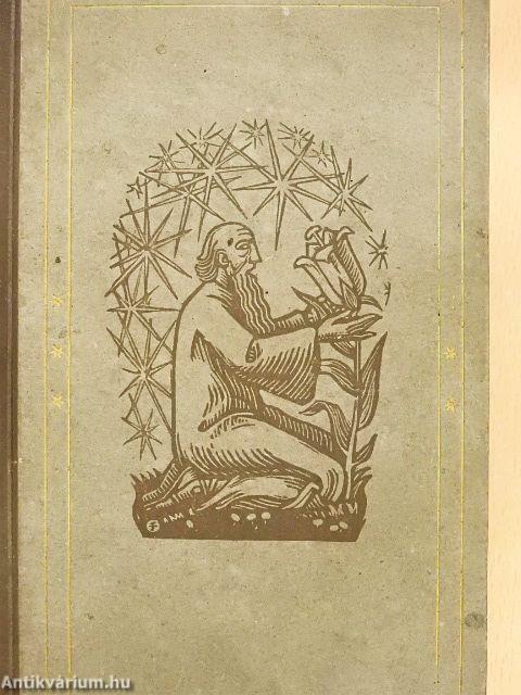 Der Wanderer zwischen Staub und Sternen (gótbetűs)