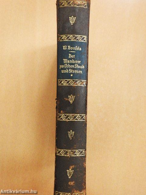 Der Wanderer zwischen Staub und Sternen (gótbetűs)