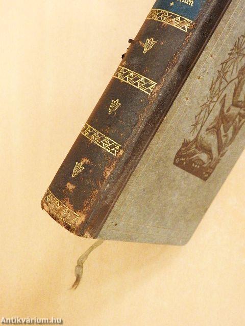 Der Wanderer zwischen Staub und Sternen (gótbetűs)