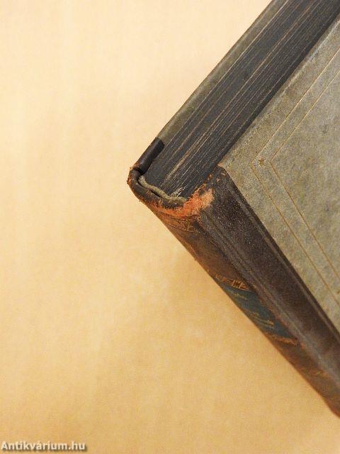 Der Wanderer zwischen Staub und Sternen (gótbetűs)