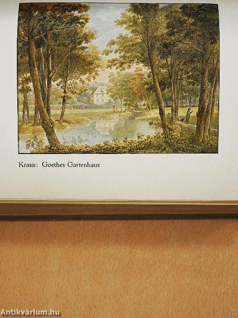 Gespräche mit Goethe (gótbetűs)