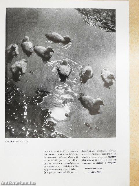 Foto 1968. (nem teljes évfolyam)