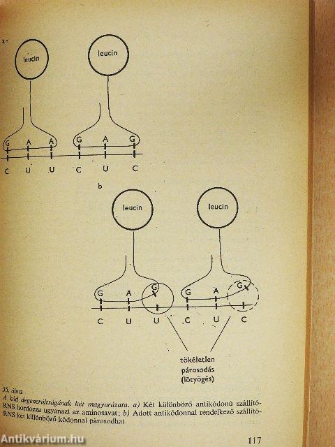 A molekuláris biológia időszerű kérdései