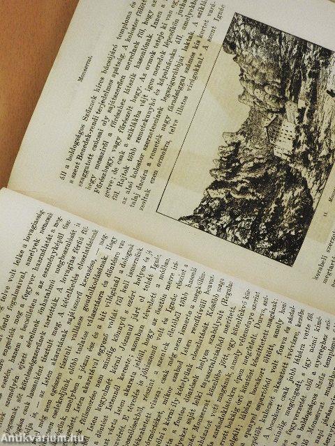 Loyolai Szent Ignác, Jézus-Társasága alapítójának élete és működése I. (töredék)