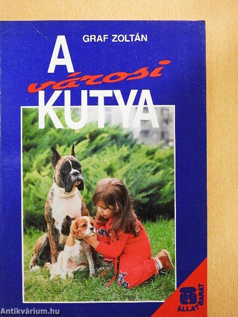 A városi kutya