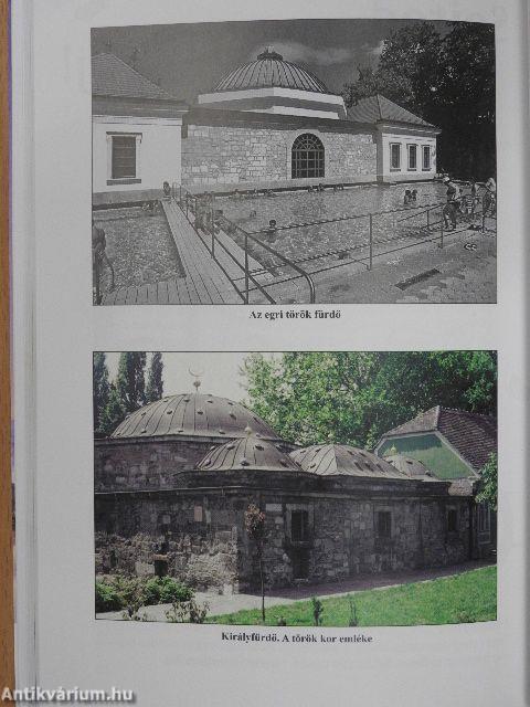 Ásványvizek, gyógyvizek