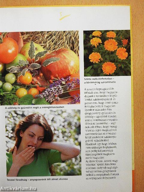 Méregtelenítés gyümölccsel és zöldséggel