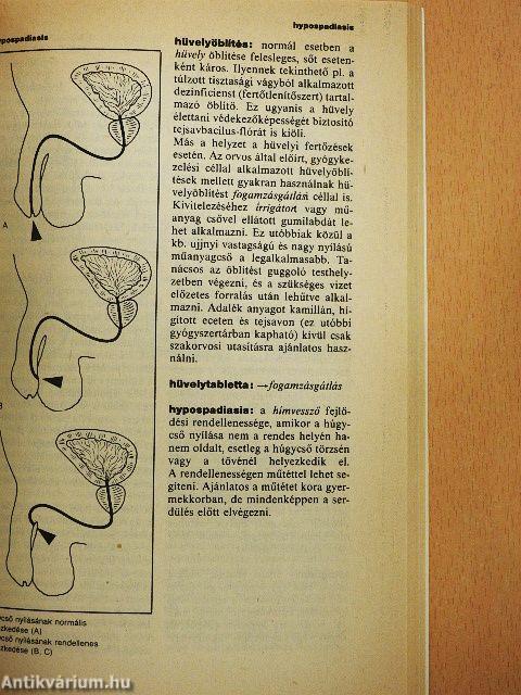 Lexikon a szerelemről