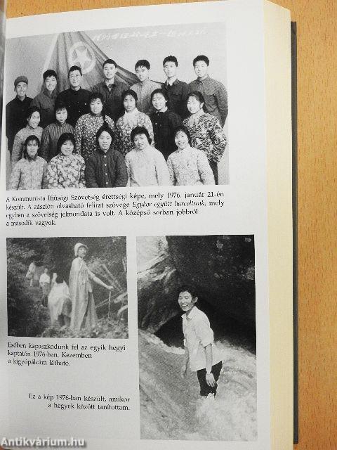 Madártoll a szélben